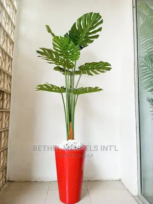 Fake Monstera Plant Potted in Fiberglass Pots/Vase/Planter