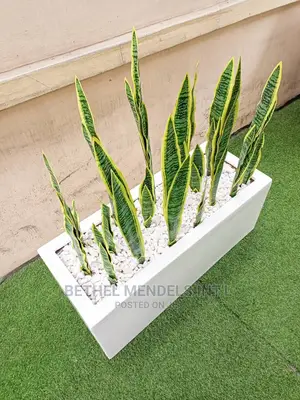 Trough Fiberglass Pot/Vase And Faux Snake Plants For Sale