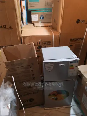 Freestanding LG Fridge+ 2 Shelves Double Door Fridge