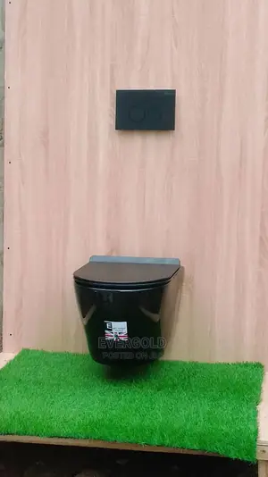 England Black Wall Hung Watercloset Available With Warranty