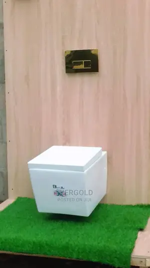England Wall Hung Water Closet Eagle Standard Available