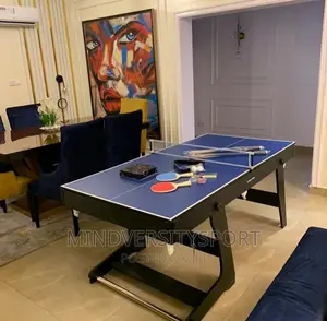 3 in 1 Foldable Snooker and Table Tennis