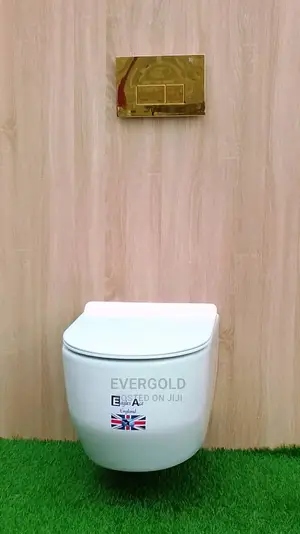 England Wall Hung Water Closet Eagle Standard Available Now