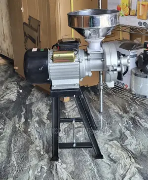 Wet and Dry Grinder