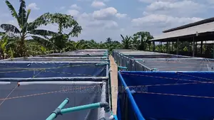 Tarpaulin Fish Pond