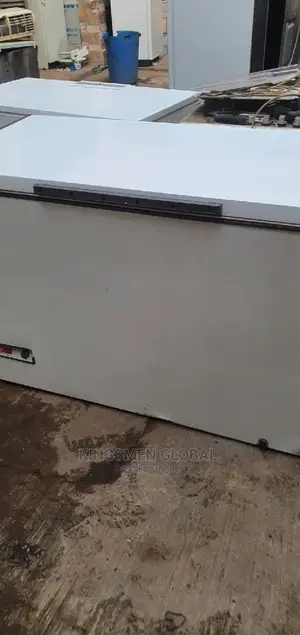 High Quality German Deep Freezer for Frozen Food Business