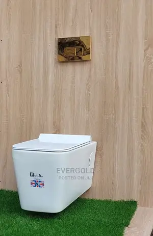 England Water Closet Conceal Available With Warranty