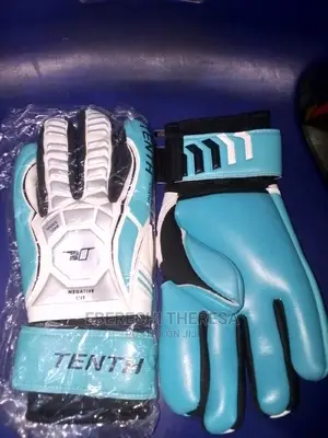 Nike Keeper's Gloves