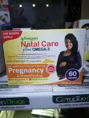 Evergreen Natal Care Plus Omega-3 X 60