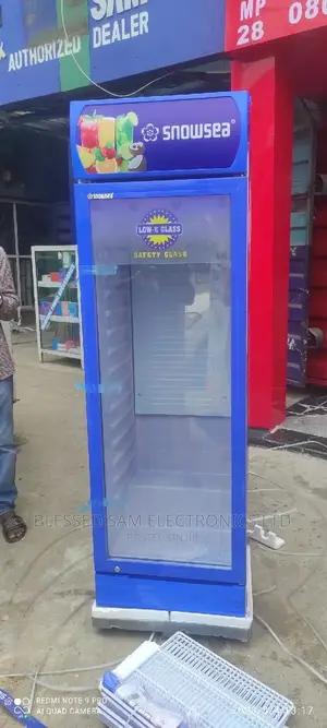 New>Snowsea Standing Chiller 260l With 4 Step Fast Freezing