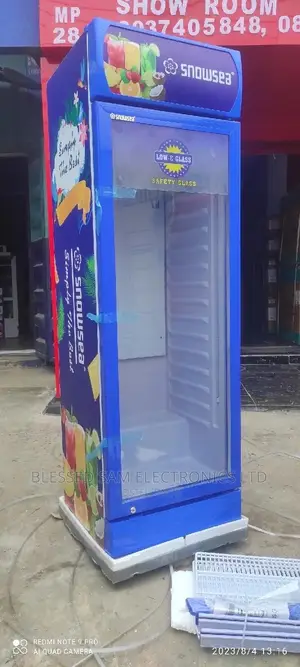 Snowsea Standing Chiller 260l With 4 Step Fast Freezing 2yrs