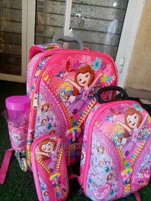 Set of 4 In1 16 Inch Sophia Kids Children Trolley School Bag