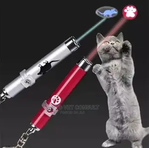 Infrared Led Laser Pointer Cat Dog Toy USB Charging/Battery