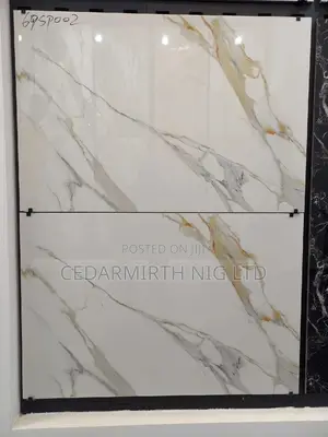 Floor Tile 60×90