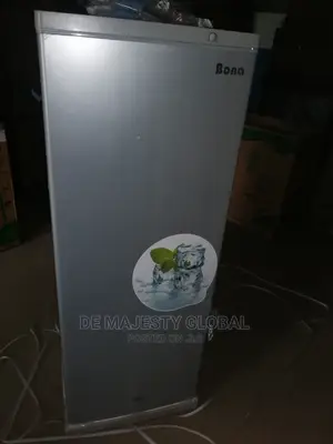 Solar Ac/Dc Freezer Bona Upright