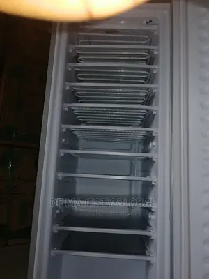 Solar Ac/Dc Freezer Bona Upright
