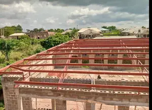 Steel Roofing
