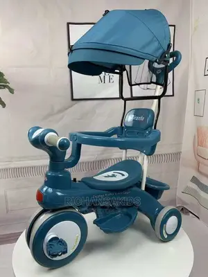Grow With Me 4 in 1 Car Trike With Shield.