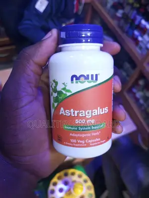 Now Astragalus 500mg