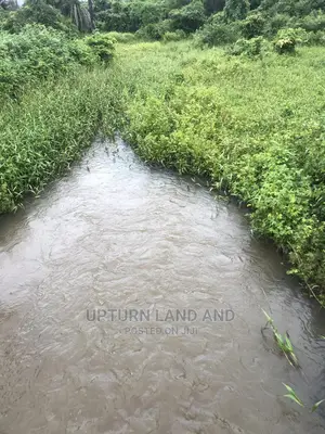 1652 Acres for Sale With a Very Large River for /Acre
