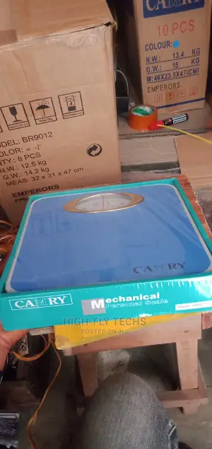 Camry Mechanical Personal Scale