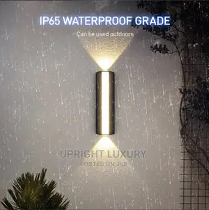 Wall Lamp/Security Light