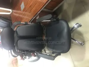 Orthopaedic Executive Office Chair