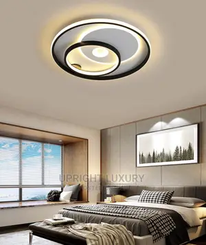 Ceiling/Flux Lights