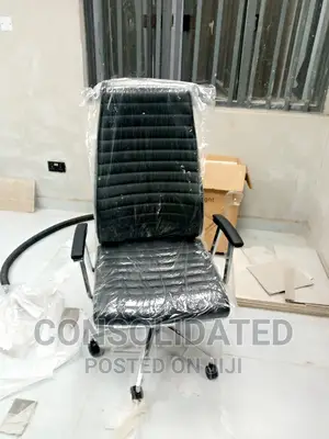 Executive Ergonomic Office Chair
