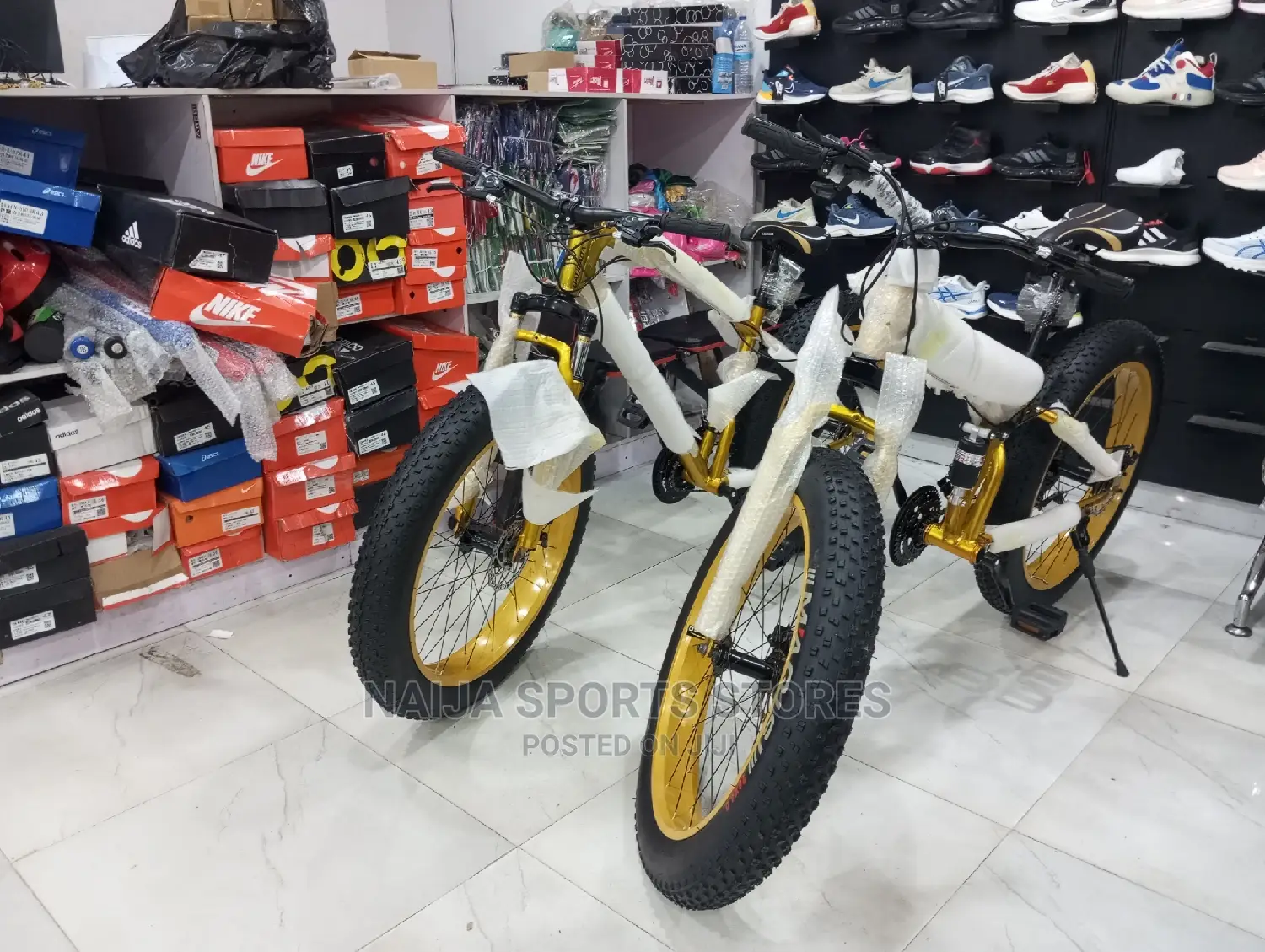 Bested Prolife Bike