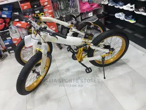 Modernistic Prolife Bike