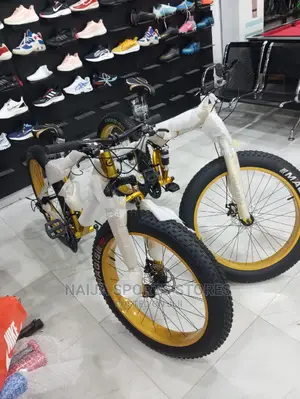 Modish Prolife Bike