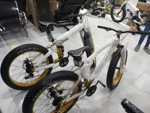 High Prolife Bike
