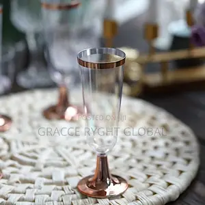 Disposable Acrylic Champagne Cup With Silver/ Gold Rim