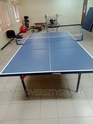 Indoor Table Tennis Board