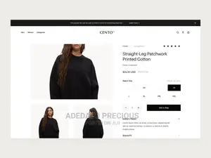 I Make Stunning Website Designs —No Upfront Payment