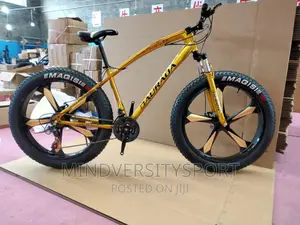 Fat Tyre Bicycle