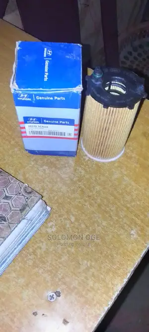 Hyundai Santa Fe Oil Filter Pepper 014 V6 Model