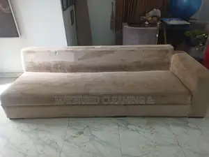 Best Couch and Rug Cleaning Services
