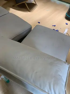 Deep Couch Cleaning