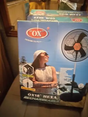 Affordable Ox 18'' Rechargeable Standing Fan(138 Height)