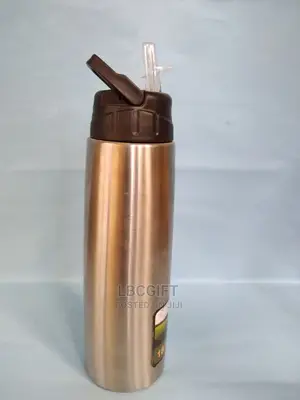 Steel Water Bottle With Straw (Wholesales Only)