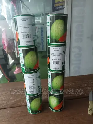 Technism Kaolack Watermelon Seed - 500g 100g
