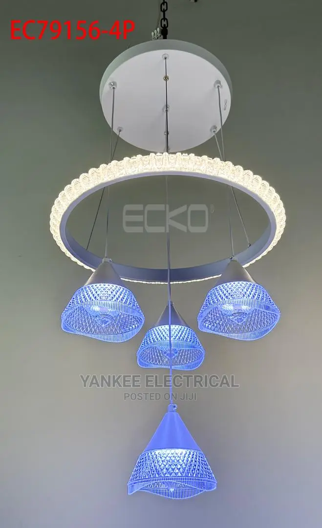 Quality LED Dropping Light