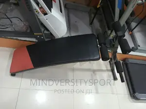 Sit-Up Bench