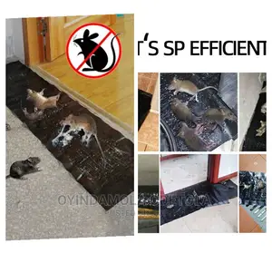 Rat Gum/Trap