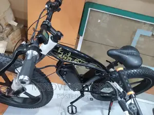 Electric Bicycle Fat Giant Tyre