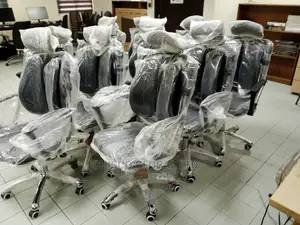 Office Chair (Orthopedic)