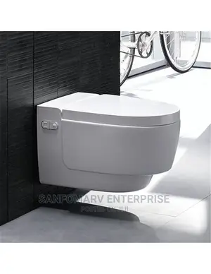 Geberit Aqua Mera Pan and Cover