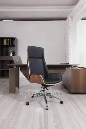 Executive Fashion Chair